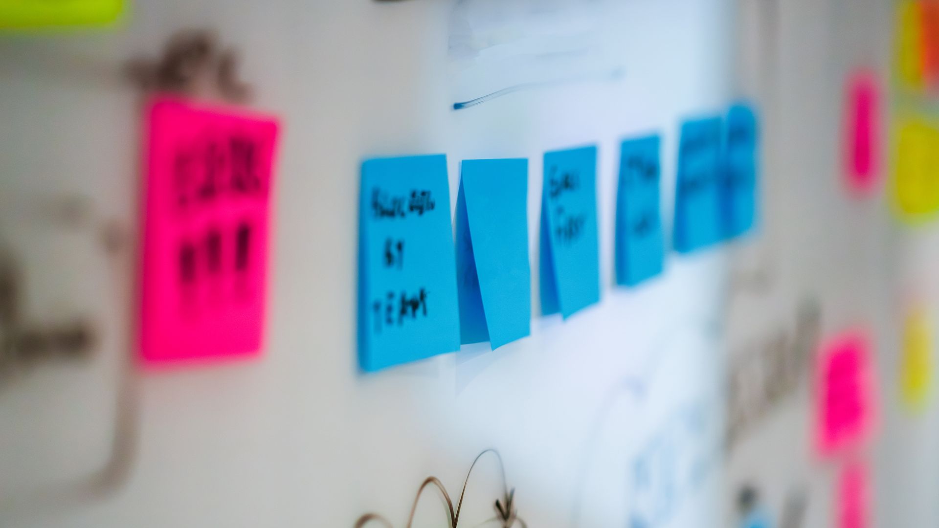 Ideas being organised into a clear plan on a workshop board